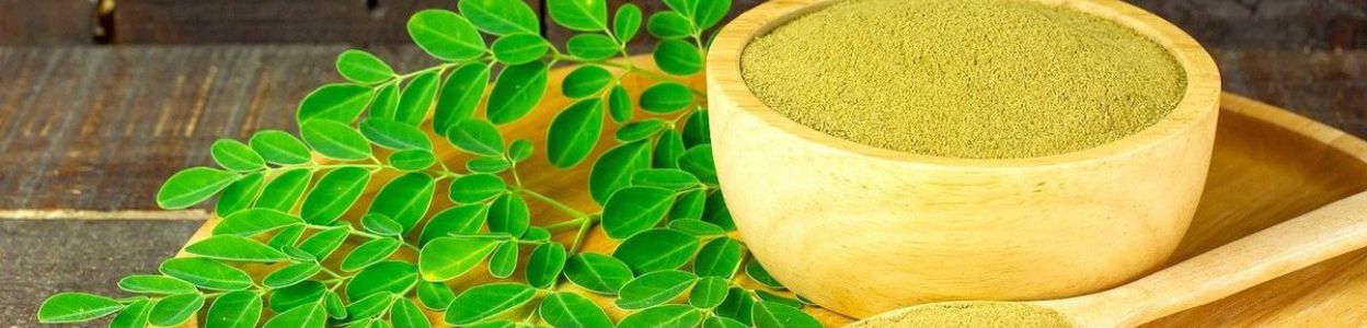 moringa a tarczyca